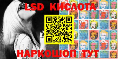 крисы Шебекино