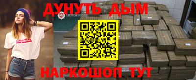 крисы Шебекино