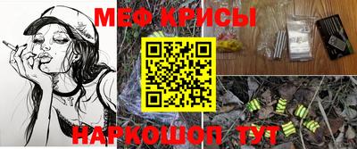 крисы Шебекино
