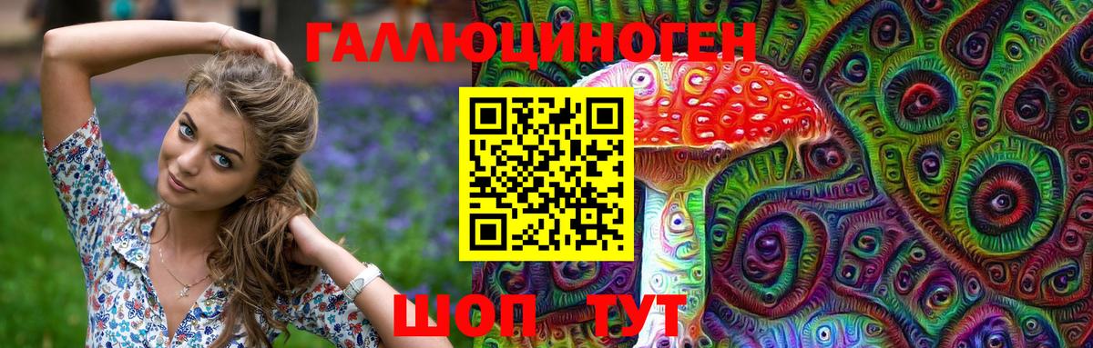 Псилоцибиновые грибы Cubensis  Вход с VPN  Тулун 