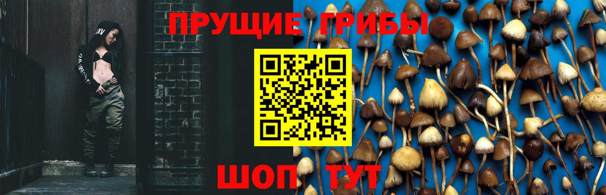 Псилоцибиновые грибы Magic Shrooms Тулун